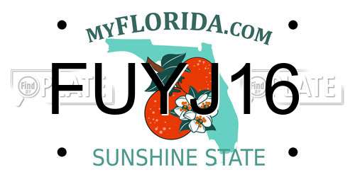 FUYJ16 Florida License Plate