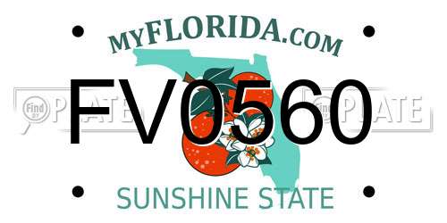 FV0560 Florida License Plate