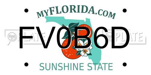 FV0B6D Florida License Plate