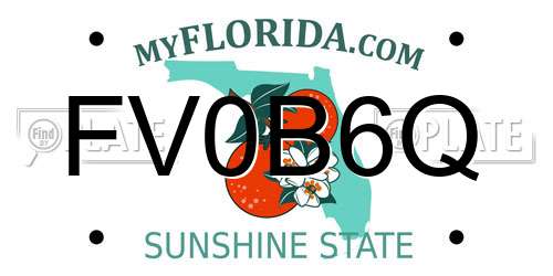 FV0B6Q Florida License Plate