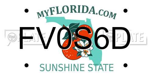 FV0S6D Florida License Plate