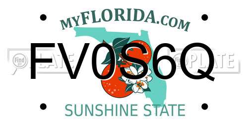 FV0S6Q Florida License Plate