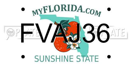 FVAJ36 Florida License Plate