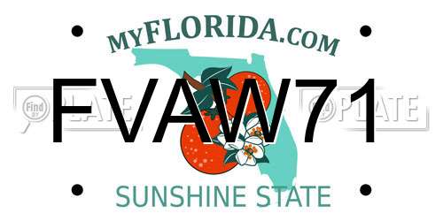 FVAW71 Florida License Plate