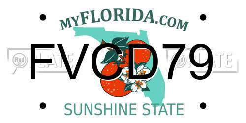 FVCD79 Florida License Plate