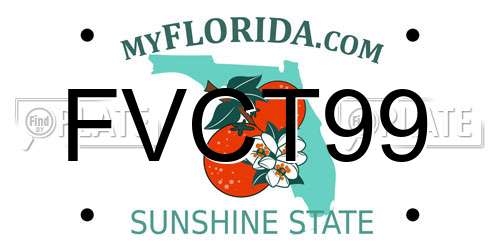 FVCT99 Florida License Plate