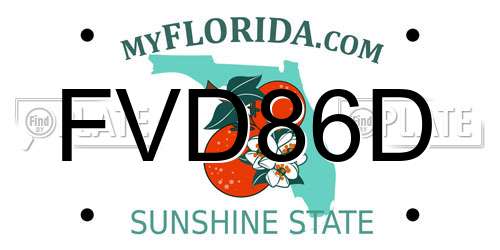 FVD86D Florida License Plate