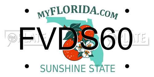 FVDS60 Florida License Plate