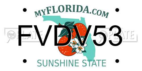 FVDV53 Florida License Plate