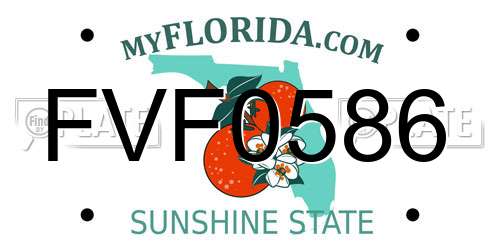 FVF0586 Florida License Plate