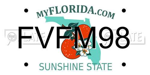 FVFM98 Florida License Plate