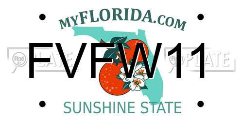 FVFW11 Florida License Plate
