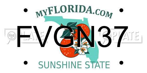 FVGN37 Florida License Plate
