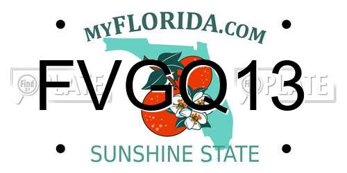 FVGQ13 Florida License Plate