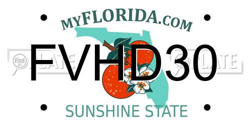 FVHD30 Florida License Plate