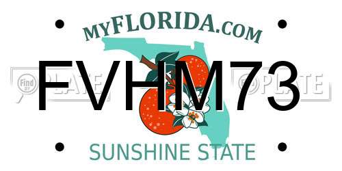 FVHM73 Florida License Plate