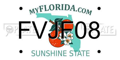 FVJF08 Florida License Plate