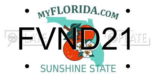 FVND21 Florida License Plate