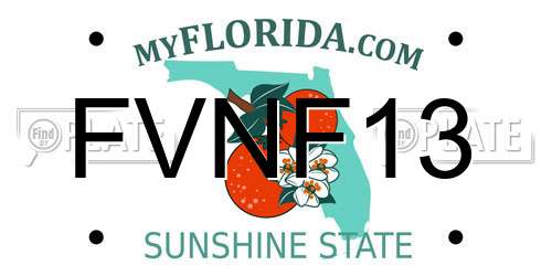 FVNF13 Florida License Plate