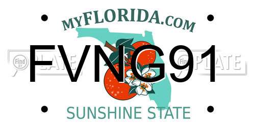 FVNG91 Florida License Plate