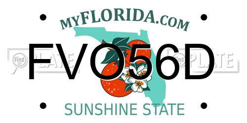 FVO56D Florida License Plate