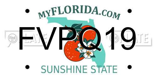FVPQ19 Florida License Plate