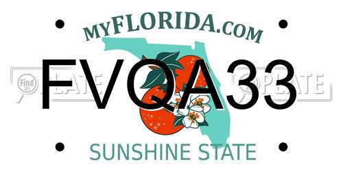FVQA33 Florida License Plate