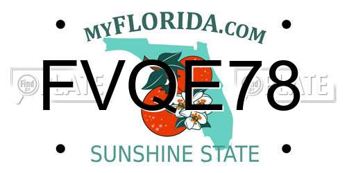 FVQE78 Florida License Plate