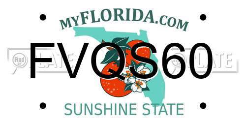 FVQS60 Florida License Plate