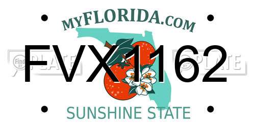 FVX1162 Florida License Plate