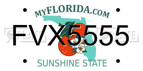 FVX5555 Florida License Plate