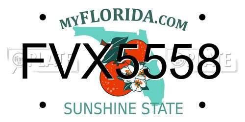 FVX5558 Florida License Plate