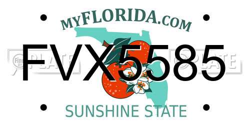 FVX5585 Florida License Plate