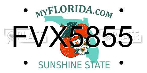 FVX5855 Florida License Plate
