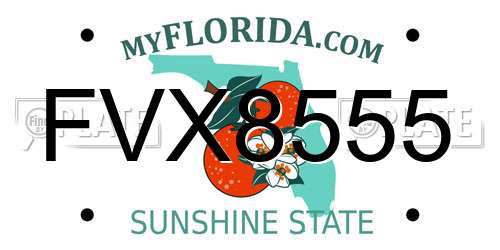 FVX8555 Florida License Plate