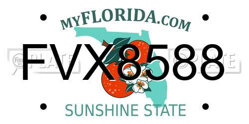 FVX8588 Florida License Plate
