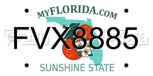 FVX8885 Florida License Plate