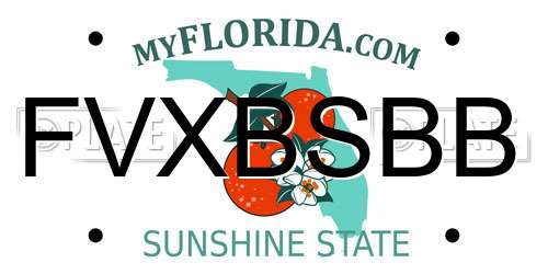 FVXBSBB Florida License Plate
