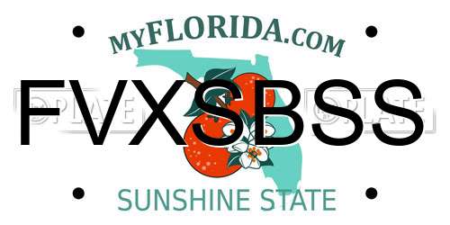 FVXSBSS Florida License Plate