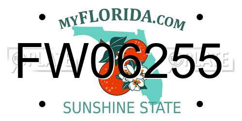 FW06255 Florida License Plate