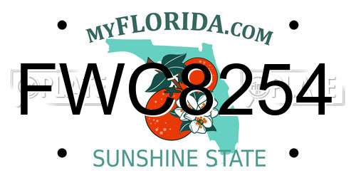 FWC8254 Florida License Plate