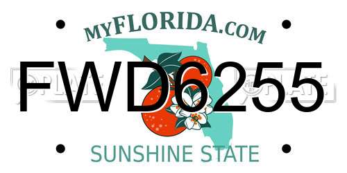 FWD6255 Florida License Plate