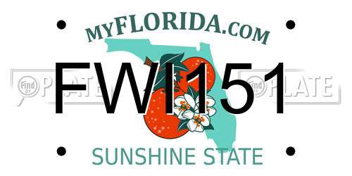 FWI151 Florida License Plate