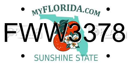FWW3378 Florida License Plate