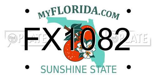 FX1082 Florida License Plate