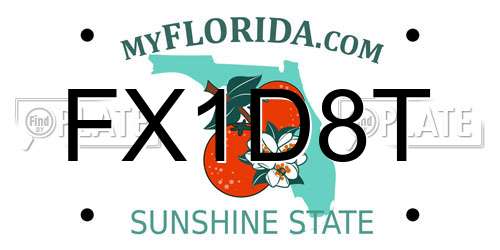FX1D8T Florida License Plate