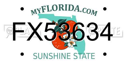 FX53634 Florida License Plate