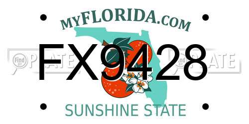 FX9428 Florida License Plate