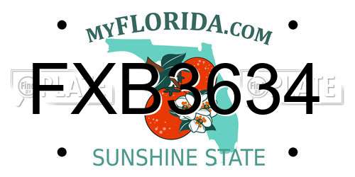 FXB3634 Florida License Plate