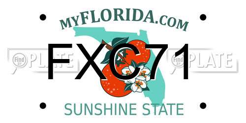 FXC71 Florida License Plate